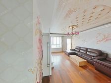 俯瞰大金桥+直视三件套+100平大露台+业主全权委托我司