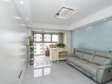 新上 博小24 九洲玺 精装修未入住 全天采光 看房方便