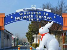 阿里附近 望京北独栋出租 浩华宫文创园 独栋中的好房子