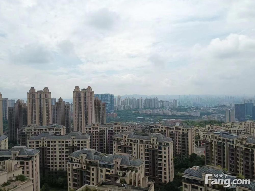 实景图