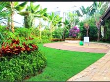 盈滨半岛外鲁能海蓝福源东二区 一线海景 采光好 环境优美