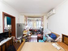 朝北一室户 阳光是够的 够够的