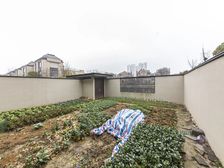 新出太湖院子 联排别墅纯毛坯 非常大院子 随时看房