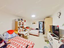 甜水园 红庙 地铁6/14号线 道家园精装一居 满五年采光好