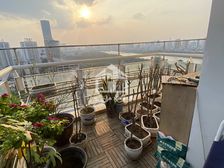 绿城画卷 3房, 精装, 东方明珠花园旁, 南北通透