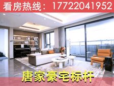 人气王100000+!唐家豪宅标杆【仁恒滨海湾】115平4房