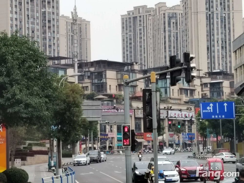 实景图