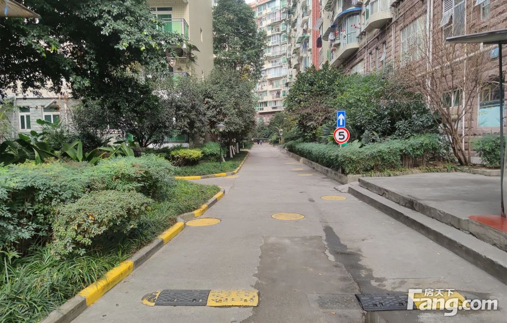 一环地铁口套二,,,,,,,,,,成都高新肖家河超洋花园二手房两室 - 房