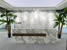 顺义东航中心539平 大门头 精装 落地窗 特价出租