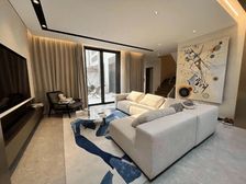 2021年交付 室内带电梯 豪华装修 地上4套房设计