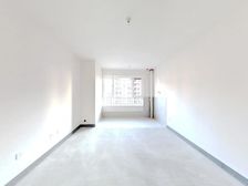 (价格真实)制、双、远洋未来城、大宽厅4.2米、