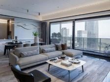 那么大!深圳湾却只有一个