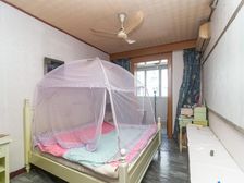 盒马生鲜+金桥国际+天物空间+美丽家园已做+紧靠6号线博兴路