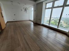 银座领海公馆 231平265平多套精装看海