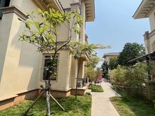 业主出国急售 海花岛双拼别墅 197平5居 赠送超大花园