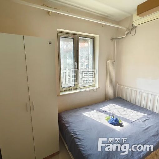  С���졤�½ֿ�����31��Ժ����¥�㡤3���� 