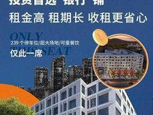 玄武门 带租约40万/年 银城金陵玖园路商铺 780万元