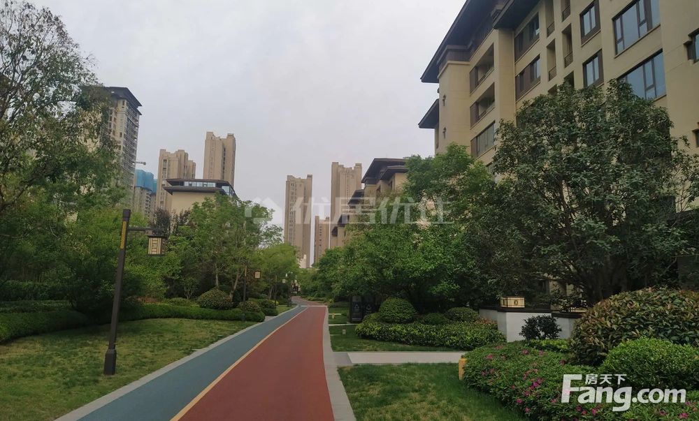 国宝红瞰一楼带花园南北通透电梯房价格可议