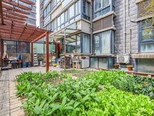 南北通透中迈书香苑4室3厅精装修