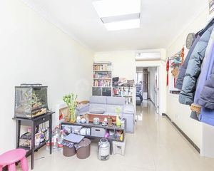 和平街十二区 · 精装大一居大客厅,南向采光好,安静,有车位