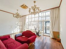 望京别墅,独门独院,有车库,厅带挑高,能加电梯!价格能谈!