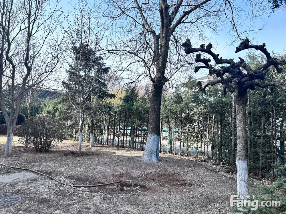 小区相关图