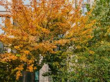 西城玺源台南北通透三居 精装高层135平