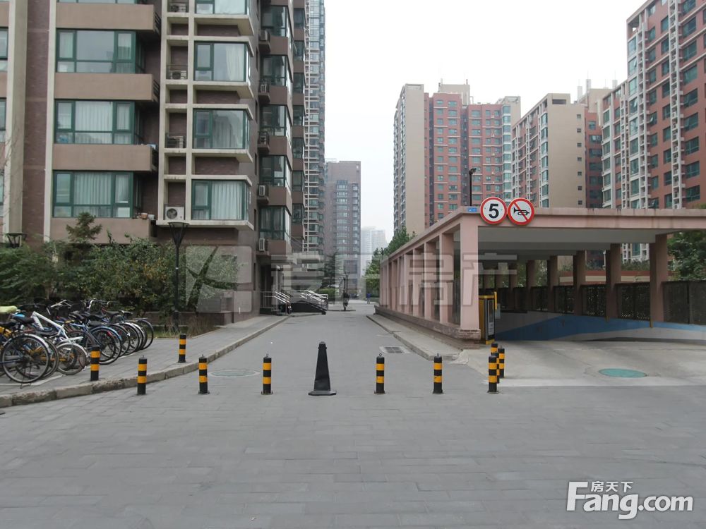 实景图