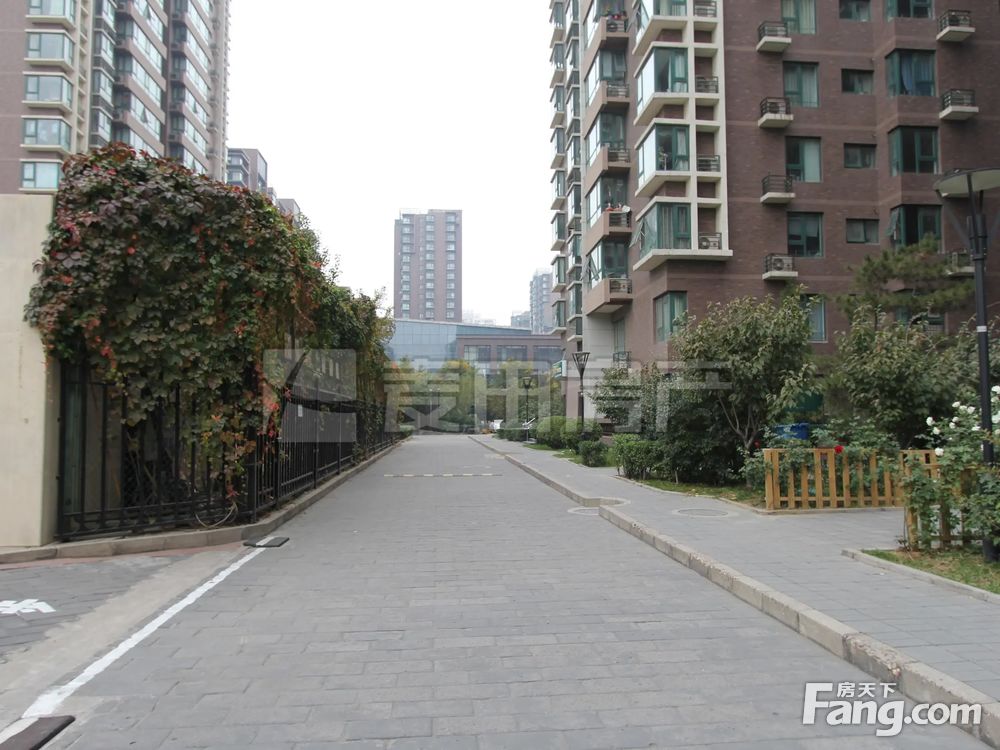 实景图