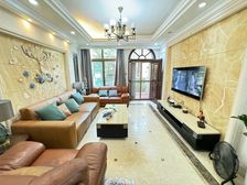 金碧领秀国际别墅 5 房 163.71 方 品质小区