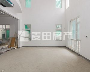 6室3厅新世界丽樽东区