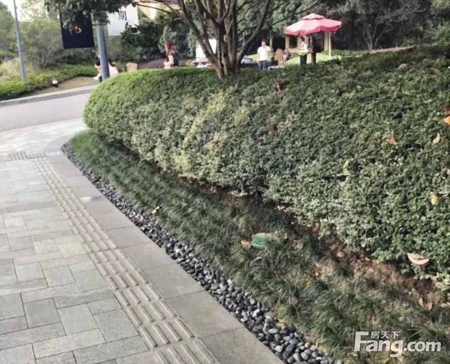 小区相关图