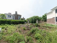 香树湾别墅 独栋别墅 超大院子 毛坯 随时看房