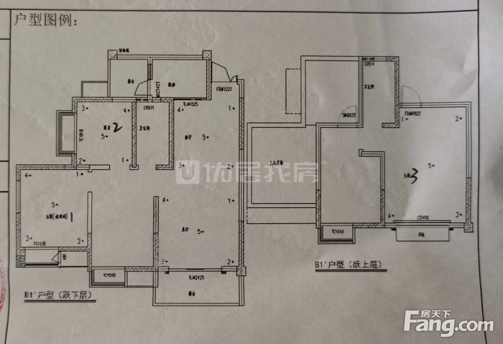 户型图