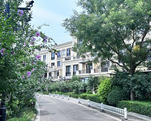 【优选社区】云溪别墅 282平 下叠豪阔大花园435