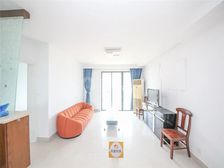 洋泾必看三房,飞机户型,业主十分诚心,不靠路,看房有密码