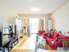 东三环朝阳公园,博雅园超高层西向大两居,俯瞰整个农展绿地