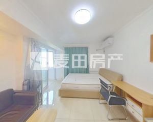 正南丰汇园1室1厅精装修