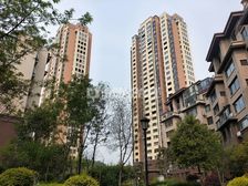 新上品质好房洛龙区核心位置