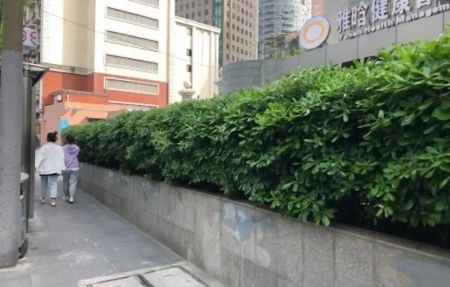 房源图片