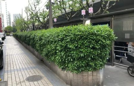 房源图片