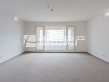 一期大平层 刷卡入户 有钥匙 可谈价格 首开琅樾南区 安排