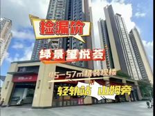 总价50万起!单价1.1万起!轻轨 山姆旁(绿景喜悦荟)精装