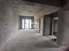 大嘉汇岭秀一方。。。。。