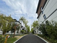 龙盘湖 龙岛六号 双拼别墅 满2年 送100平大花园