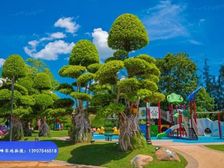 恒大御海天下 看海70.28平2居 南北向精装修 随时签约