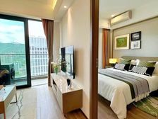 高新OPPO总部大厦旁(月租2600现房)精装|带20平露台