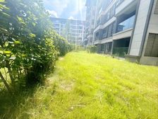 端户花园200平!!!跌惨了 、业主哭晕在重庆 、赶紧来捡漏