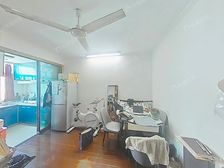 急卖,新上沧实小振华经典小户中楼层采光佳停车方便竹辉路轻轨口