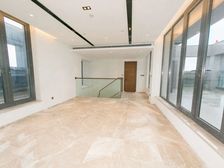 217方+217顶跃天花板,送200方大露台,送2个大车位